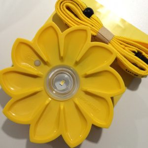 littlesun